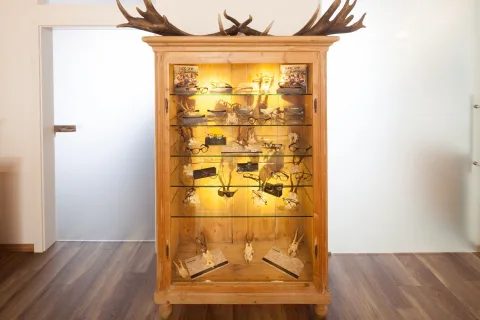 Beleuchtete Holzvitrine mit Brillen, darüber ein Geweih, in einem Raum mit dunklem Holzboden