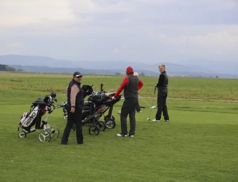 Spieler mit Golftaschen auf dem Platz