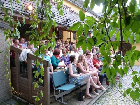 Blick durch Blätter auf das sitzende Publikum
