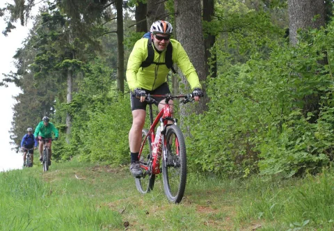 Ein Mountainbiker in gelbem Trikot fährt am Waldrand bergauf