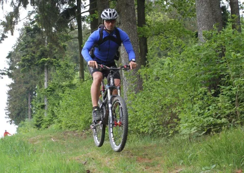 Ein Mountainbiker in blauem Trikot fährt am bewaldeten Hang bergauf