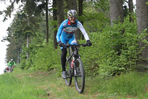 Ein Radfahrer in hellblauem Trikot fährt zwischen den Bäumen aufwärts