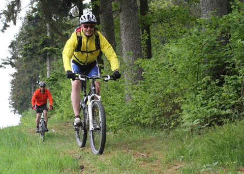 Zwei Mountainbiker fahren hintereinander den grasbewachsenen Waldhang hinauf