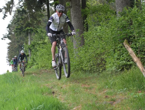 Ein Radfahrer in schwarz-weißem Trikot fährt zwischen hohen Bäumen bergauf