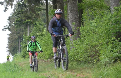 Zwei Radfahrer fahren gemeinsam den Waldweg hinauf
