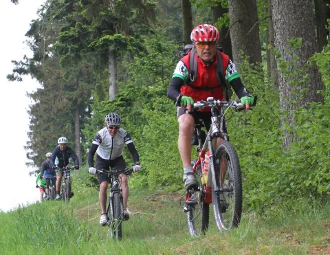 Ein Mountainbiker in buntem Trikot mit Rucksack fährt den Hang hinauf