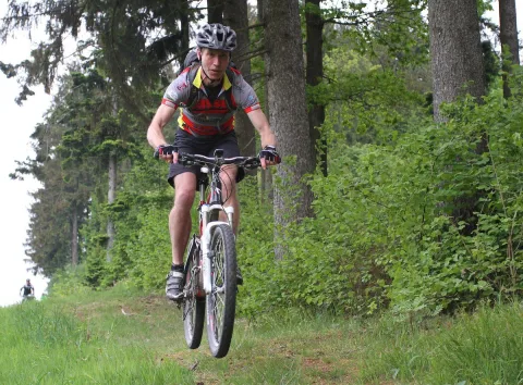 Ein Mountainbiker in buntem Trikot fährt zwischen Bäumen bergauf
