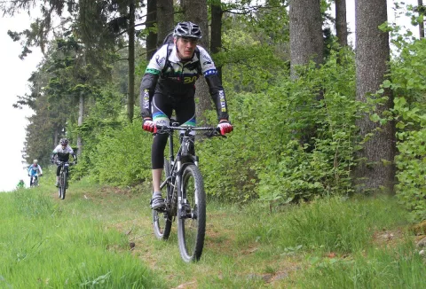 Ein Radfahrer in weißem Trikot fährt den Waldhang hinauf