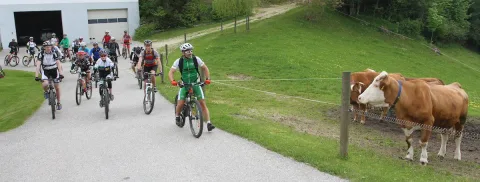 Radfahrer fahren einen ansteigenden Weg entlang der Weide hinauf
