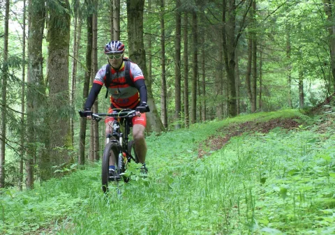 Ein Mountainbiker fährt über einen bemoosten Waldboden zwischen Nadelbäumen