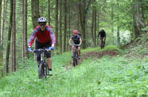 Zwei Radfahrer fahren hintereinander durch den Nadelwald