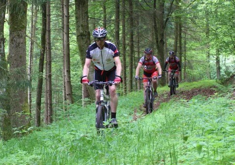 Zwei Radfahrer fahren nebeneinander einen Waldweg entlang