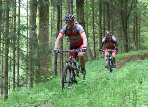Ein Mountainbiker in rot-weißem Trikot fährt durch den Buchenwald
