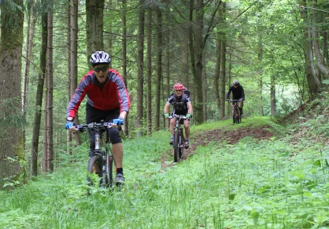 Zwei Radfahrer fahren hintereinander durch den Wald, ein dritter folgt