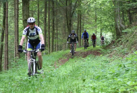 Ein Mountainbiker fährt einen bewaldeten Hang hinauf, weitere folgen in einiger Entfernung