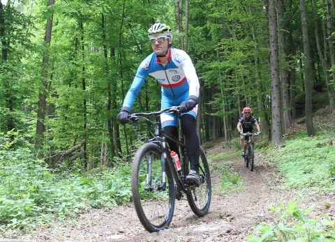Ein Radfahrer in blau-weißem Trikot fährt durch den frühlingsgrünen Wald