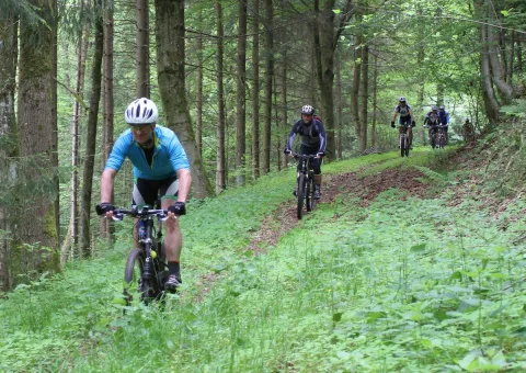 Ein Mountainbiker in hellblauem Trikot fährt einen Waldweg entlang