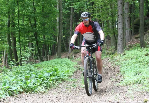 Ein Radfahrer in rotem Trikot fährt durch den Laubwald