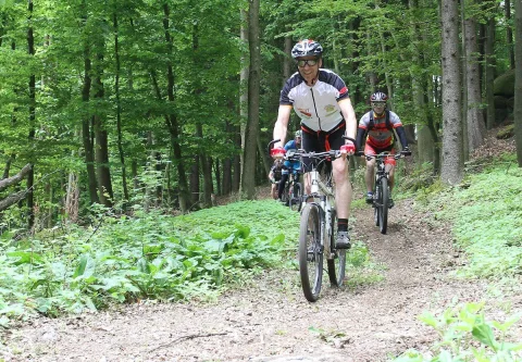 Zwei Radfahrer fahren gemeinsam den Waldweg hinauf