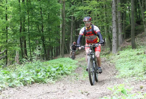 Ein Radfahrer in rotem Trikot fährt einen steilen Waldweg hinauf