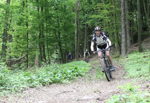 Ein Mountainbiker in schwarz-weißem Trikot fährt durch den Wald