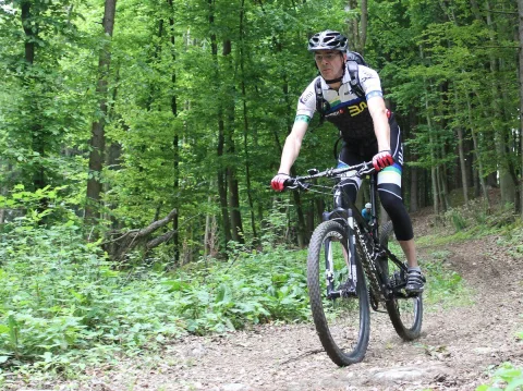 Ein Mountainbiker in gelb-schwarzem Trikot fährt durch den lichten Wald