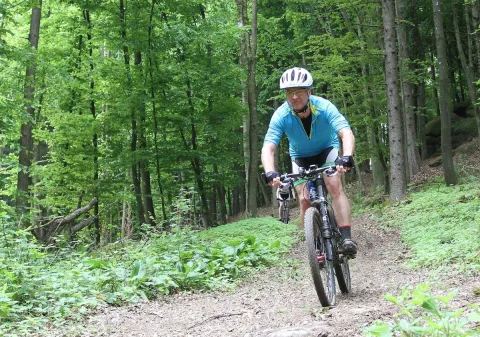 Ein Mountainbiker in blauem Trikot fährt durch den Buchenwald