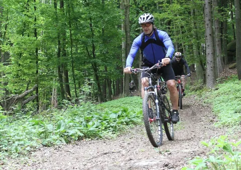 Ein Radfahrer in hellem Trikot fährt einen Waldweg hinauf, ein zweiter folgt
