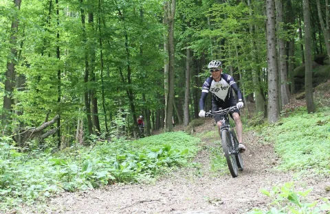 Ein Radfahrer in hellem Trikot fährt den bewaldeten Hang hinauf