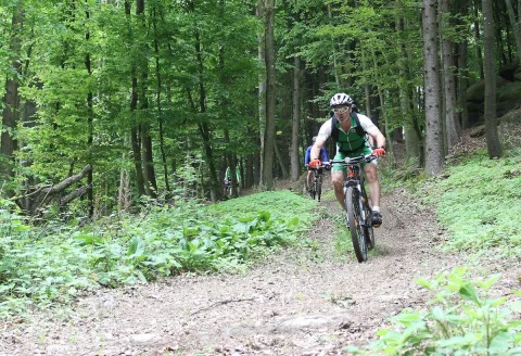 Ein Radfahrer fährt einen Schotterweg im Wald hinauf