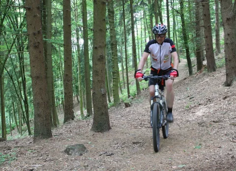 Ein Mountainbiker fährt durch den Nadelwald bergauf