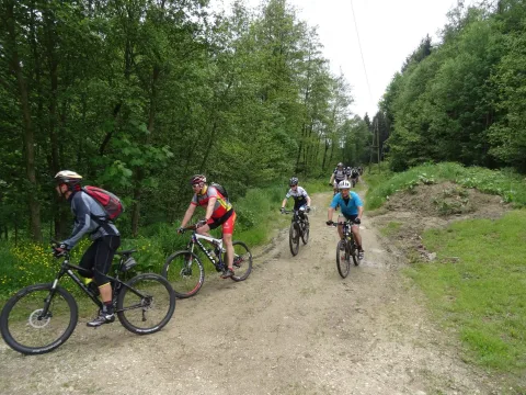 Drei Mountainbiker fahren einen Schotterweg am Waldrand entlang