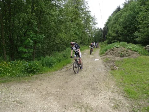 Ein Mountainbiker fährt einen breiten Schotterweg im Wald hinauf